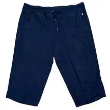 Danskin Navy Blue Cropped Active Pants 2X