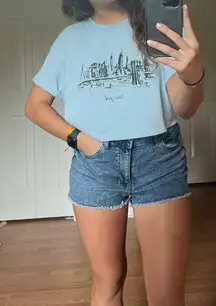 Cropped Light Blue Shirt