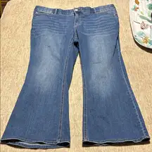 18 WP bootcut Jeans stretch plus petite wide elastic waist tummy control panel