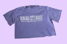 Vintage y2k Distressed Lavender Panama City Beach Florida Crop Top 🔥