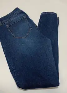 Torrid Mid Rise Denim Jeans Blue Size 12T