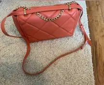 A New Day Coral purse with Gold embellishments, horseshoe clip close.