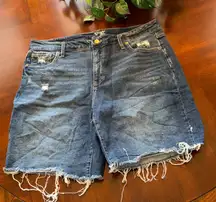 18W Jean shorts • terra & sky