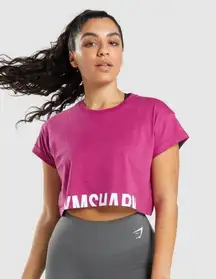 Fraction Cropped Tee