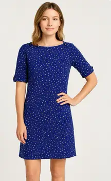 J. Crew Collection Vintage Wool Knit Dress