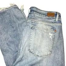 Judy Blue Light Wash 16W Straight Fit Jeans