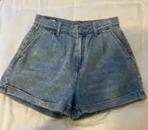 American Eagle Dad Shorts