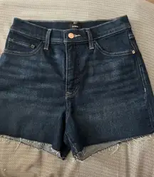 Express Denim Shorts High-Rise Shortie