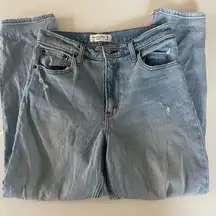 Abercrombie & Fitch Curve Love The Mom High Rise Jeans size 28/6