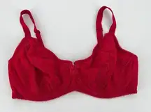 Wacoal Absolutely Fabulous Underwire Bra Sz 34DD Red Lace