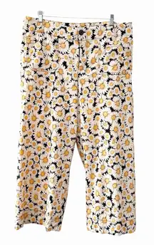 *FLAW* Maeve Anthropologie The Colette Daisy Floral Pants 18W Crop Trouser Boho