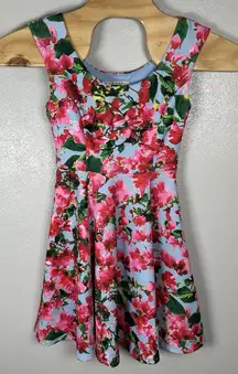 Milly Dress Size 2 Blue Pink Floral Skater Mini Fit & Flare Spring Summer