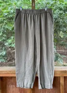 Quince  Women's Sage Green 100% Linen Pull On Pants Size L