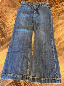 Stetson 214 City Trouser Jeans Women 10R Western Cowgirl Blue Flared Denim Aztec
