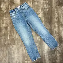 Abercrombie & Fitch Curve Love High Rise Mom Jeans