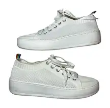 Steve Madden Bardo Platform Sneakers