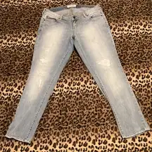 TORRID Jeans Women’s Size 14 Distressed 2005 Cut 202087