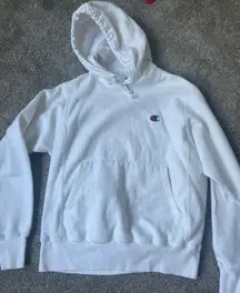 Reverse Weave Hoodie