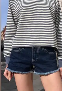 Low Rise Dark Wash Shorts