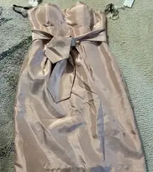 NWT Jenny Yoo parker blush dress 4