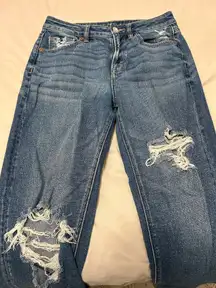 American Eagle Mom Jeans