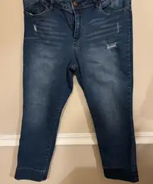 1822 Denim Dark Blue Skinny Jeans