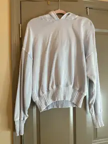 Aerie Cropped Hoodie 