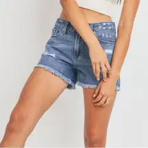 Just Black Denim JBD Feifer Cat Scratch Short