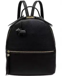 Radley London Fountain Road Leather Backpack