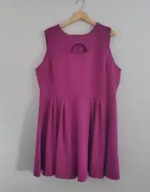 Bongo Plus Women's Sleeveless Purple Mini A-line Dress 1X