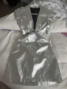 Silver ALC dress