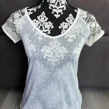 Lord and Taylor DEX  NWT Sheer Ivory Lace T-Shirt Size Small