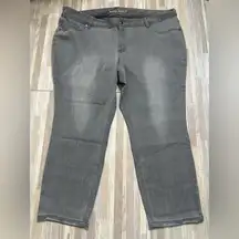 Woman Within Gray Denim Jeans, Size 28W