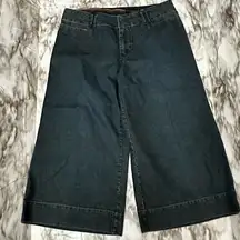 Apostrophe Premium Blue Denim Wide Leg Cropped Pants Perfect With Tall Boots Fun