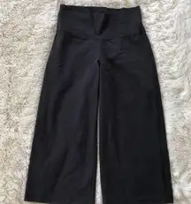 Patagonia Black Cropped Pants