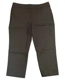 Kim Rogers Short Brown Pull-On Pants 16S