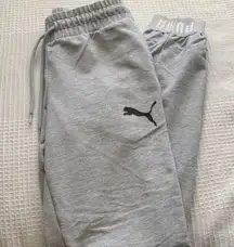 Sweatpants