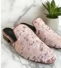 Womens rag & bone Luis Velvet Mules in Mauve sz 7 (37)
