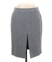 Kate Spade Saturday striped‎ skirt blue & white sz 4