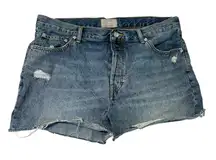 Everlane Relaxed 90s Cut Off Jean Shorts Distressed Organic Cotton size 32