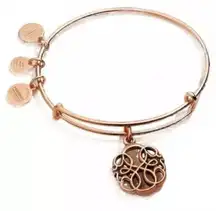 NWT Alex and Ani Path of life rose gold bracelet