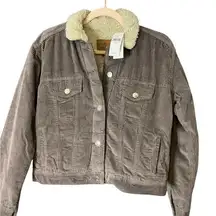 American Eagle Outfitters Brown Corduroy Jacket
