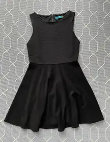 Solid Black A Line Fit and Flare Mini Dress Size 2