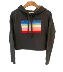Aeropostale Cropped Hoodie Womens Juniors Small Gray Equality Sweatshirt Top
