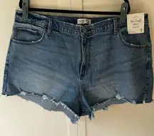 Abercrombie & Fitch NWT Cutoff Short High Rise Curve Love Jean Shorts Size‎ 20