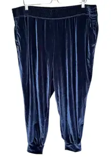 Fabletics Plus Size 2X Navy Blue Daria Velvet Jogger Pants