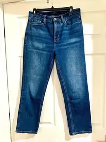 Banana Republic Mom Straight leg jeans size 29/8 denim blue High rise Dark Wash 