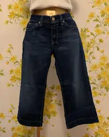 Dojo crop jeans size 27