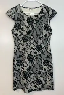 NWT Collective Concepts Black/White Lace Illusion Cap Sleeve Sheath Dress Large