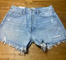 Agolde Parker Long Short 28